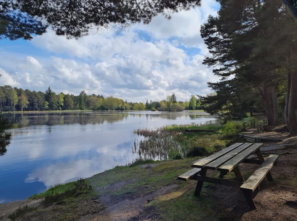 alt="Nelly's Moss lake and picnic bench at Cragside"