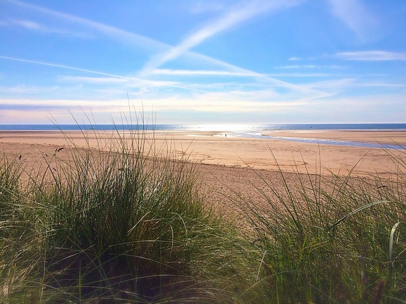 alt="Alnmouth beach with dunes and blue skies"