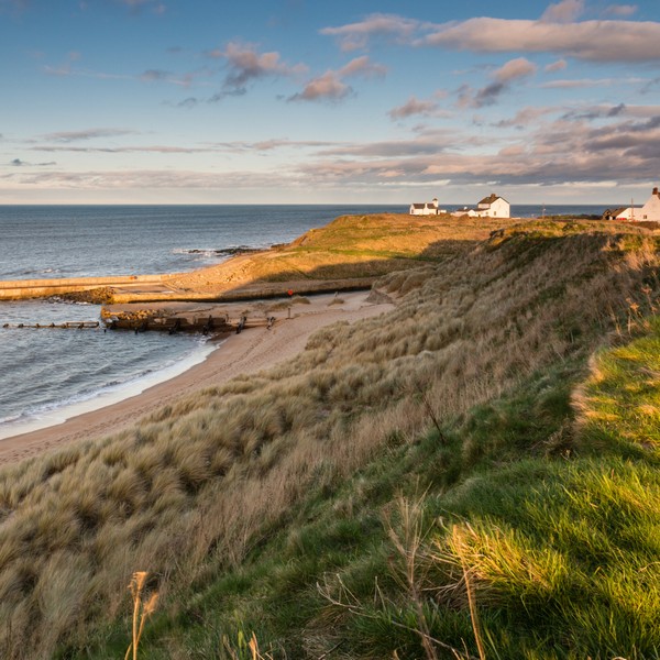 alt="Coastline at  seaton sluice with blue skies and dunes"
