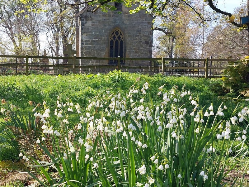 alt="Church at Seaton Delaval and lily of valley flowers in the foreground"